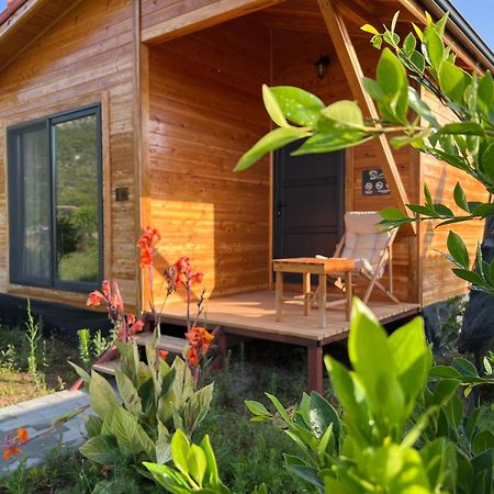 Lemon Garden Lodge Çıralı Kültér fotó