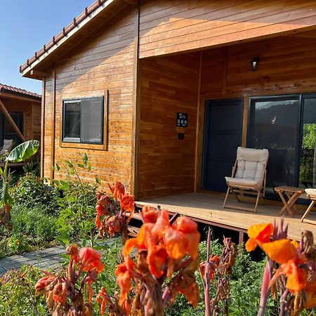 Lemon Garden Lodge Çıralı Kültér fotó