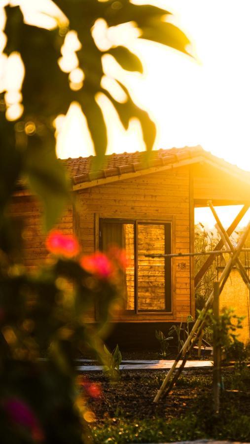 Lemon Garden Lodge Çıralı Kültér fotó