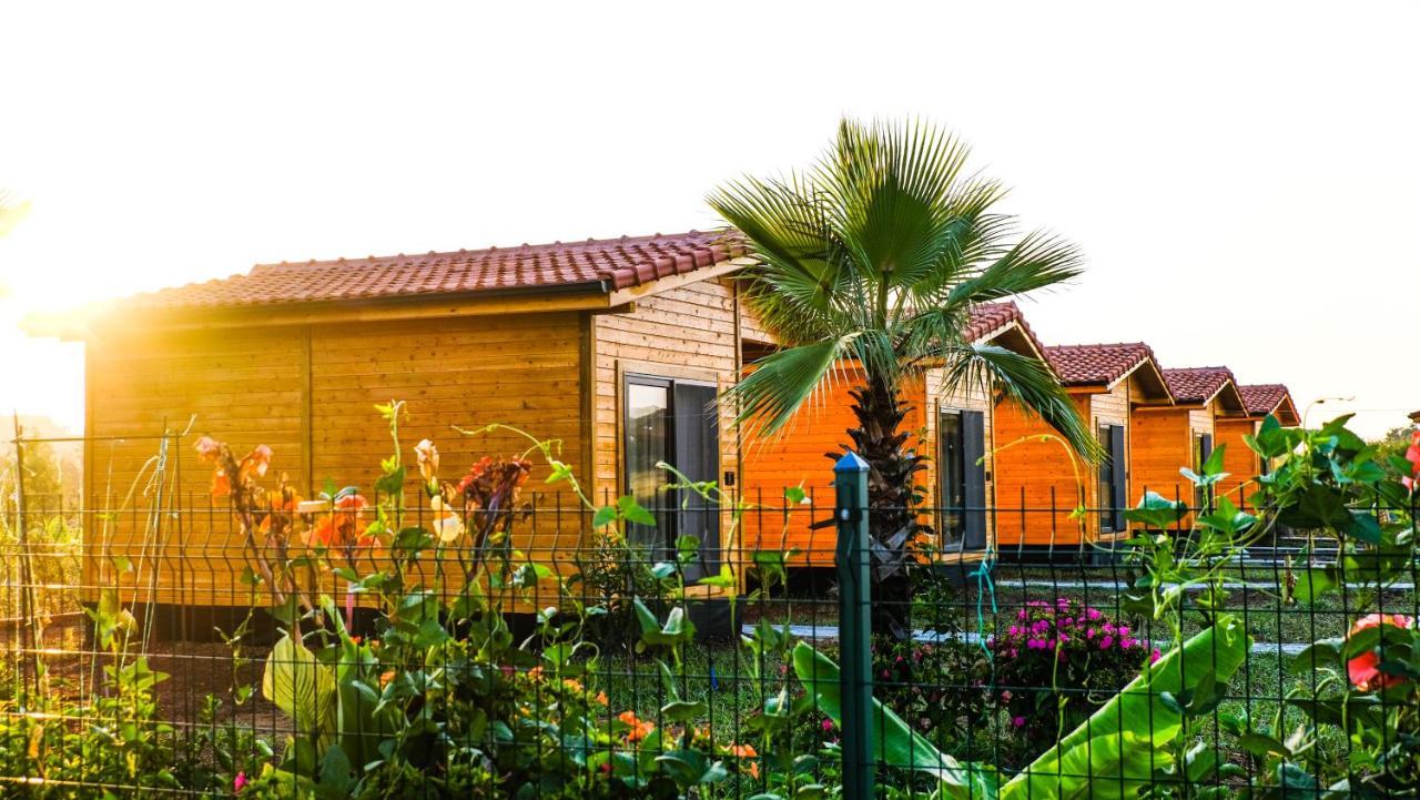 Lemon Garden Lodge Çıralı Kültér fotó