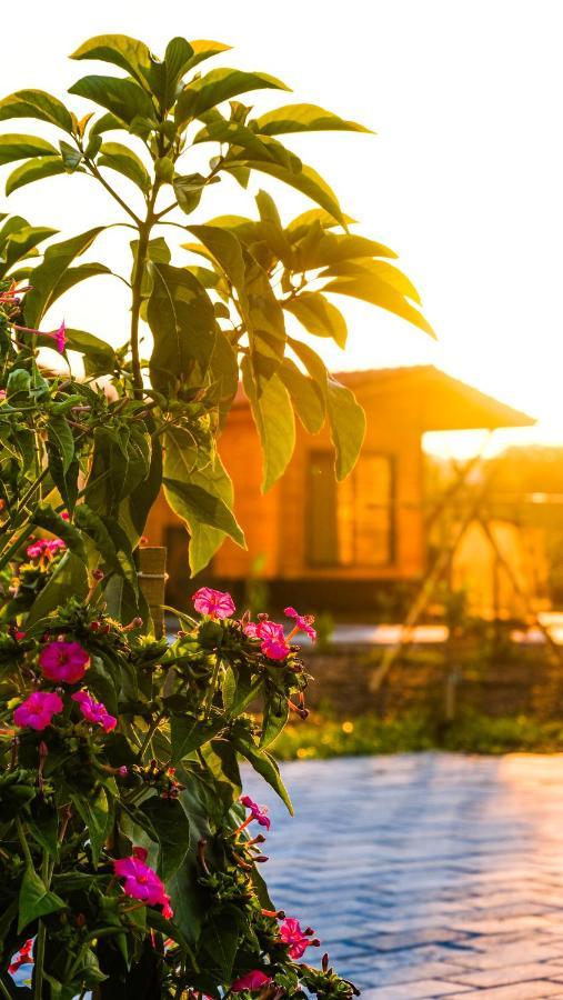 Lemon Garden Lodge Çıralı Kültér fotó