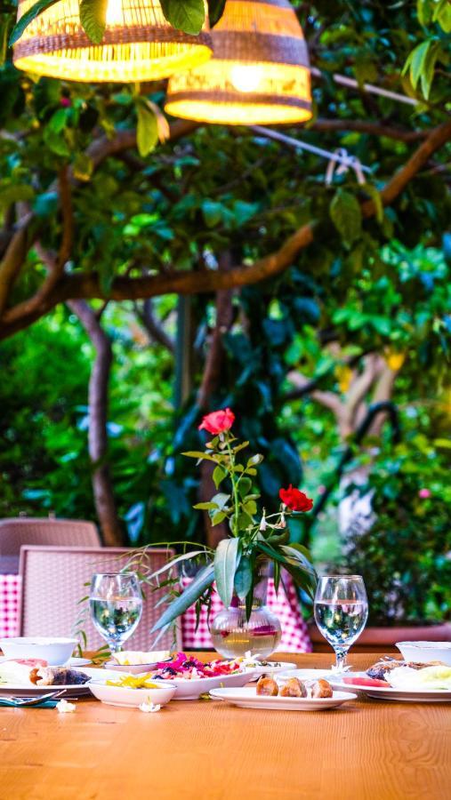 Lemon Garden Lodge Çıralı Kültér fotó