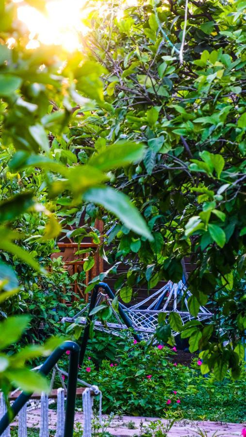 Lemon Garden Lodge Çıralı Kültér fotó