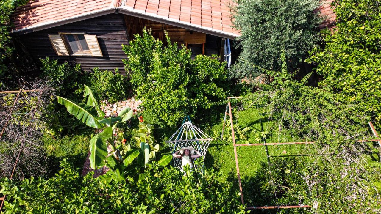 Lemon Garden Lodge Çıralı Kültér fotó
