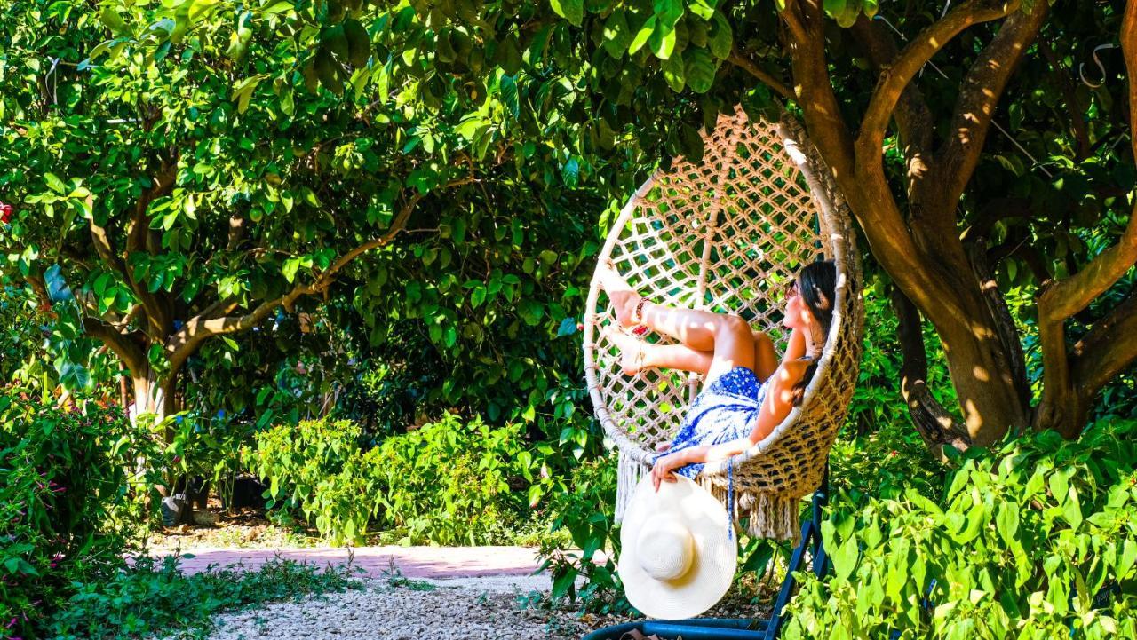 Lemon Garden Lodge Çıralı Kültér fotó