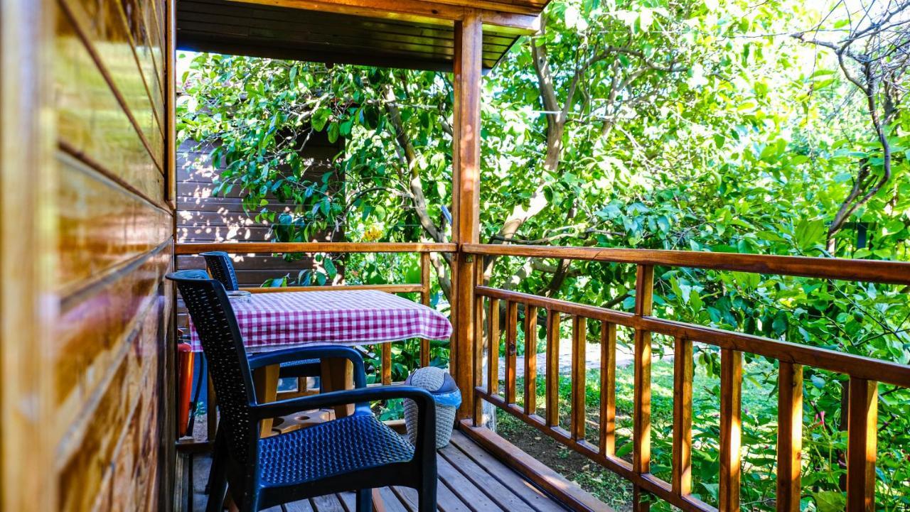 Lemon Garden Lodge Çıralı Kültér fotó