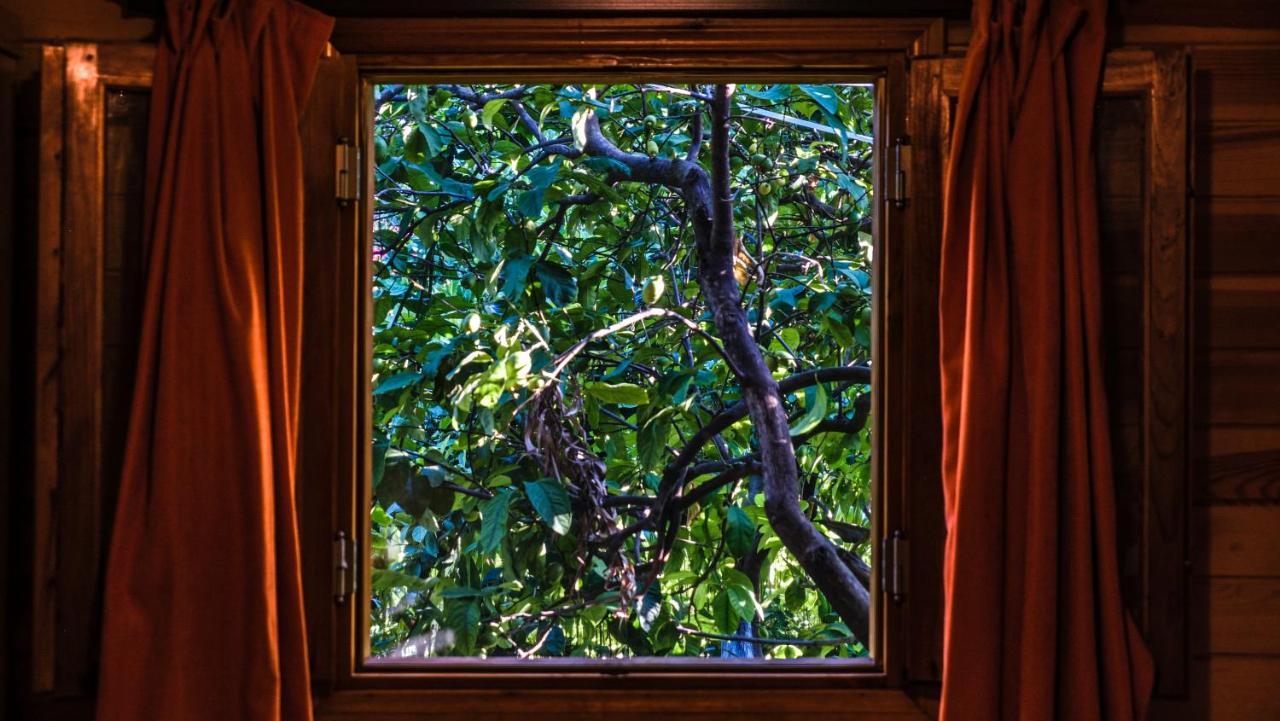 Lemon Garden Lodge Çıralı Kültér fotó