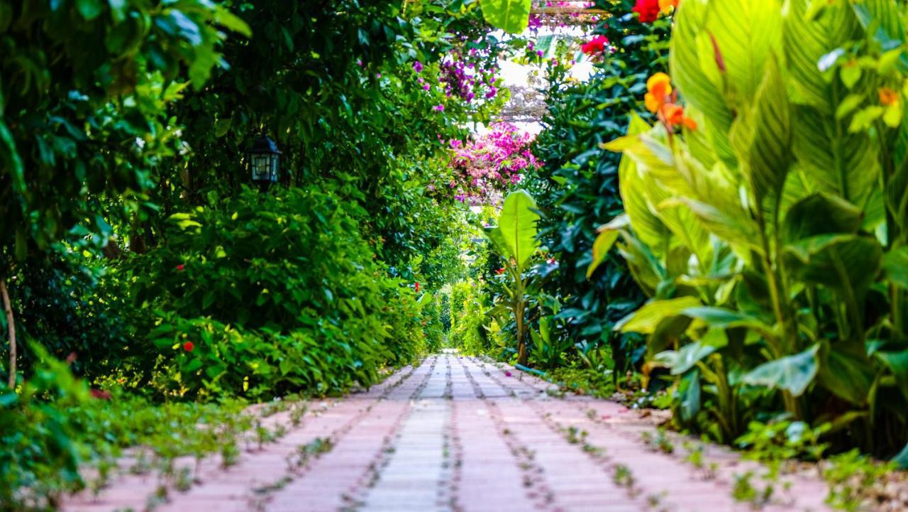 Lemon Garden Lodge Çıralı Kültér fotó