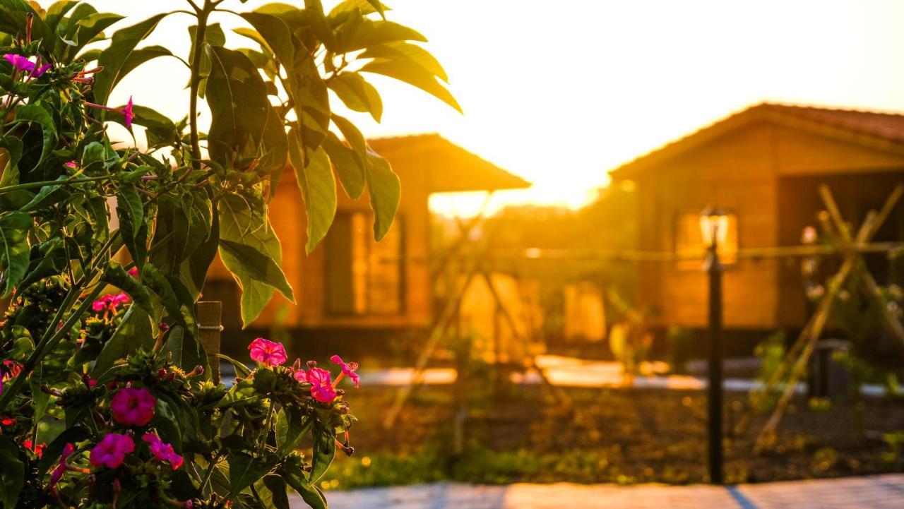 Lemon Garden Lodge Çıralı Kültér fotó