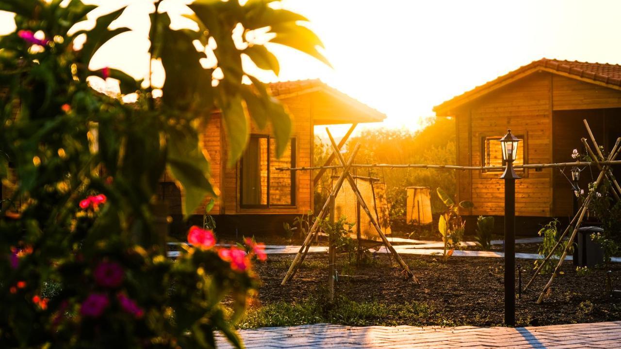 Lemon Garden Lodge Çıralı Kültér fotó