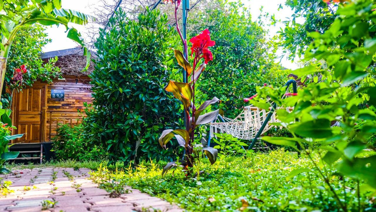 Lemon Garden Lodge Çıralı Kültér fotó