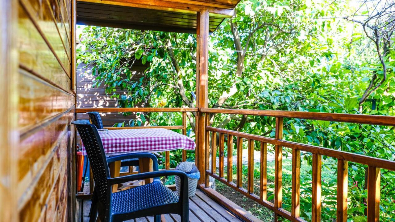 Lemon Garden Lodge Çıralı Kültér fotó