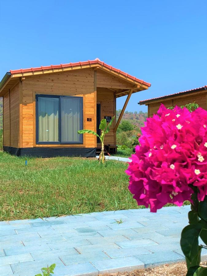 Lemon Garden Lodge Çıralı Kültér fotó