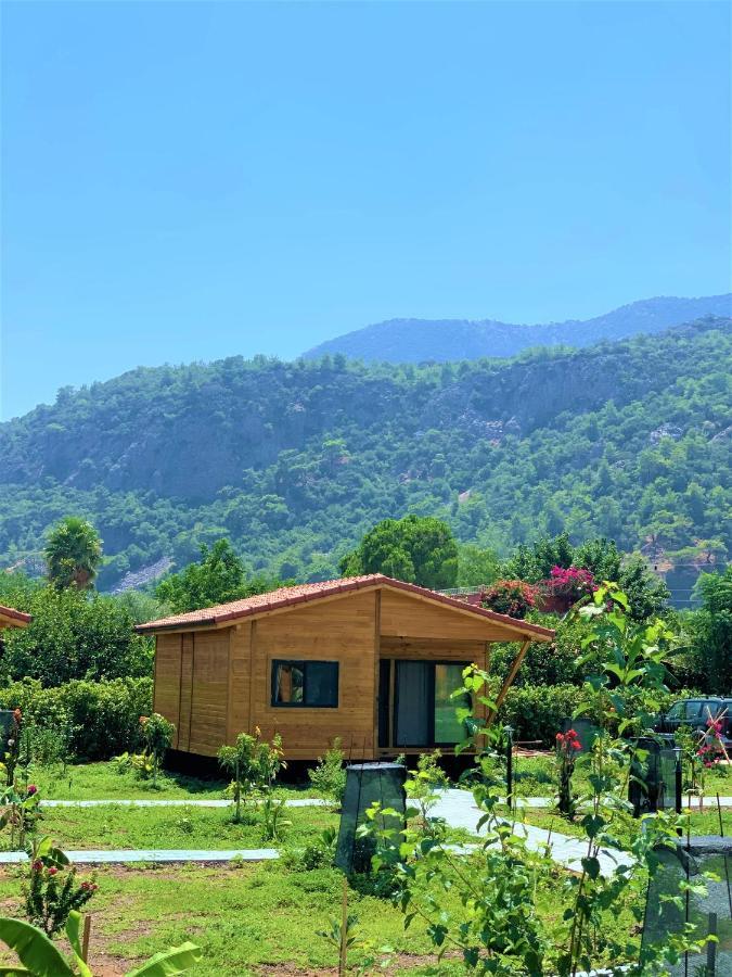 Lemon Garden Lodge Çıralı Kültér fotó