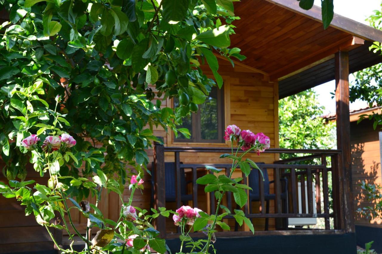 Lemon Garden Lodge Çıralı Kültér fotó