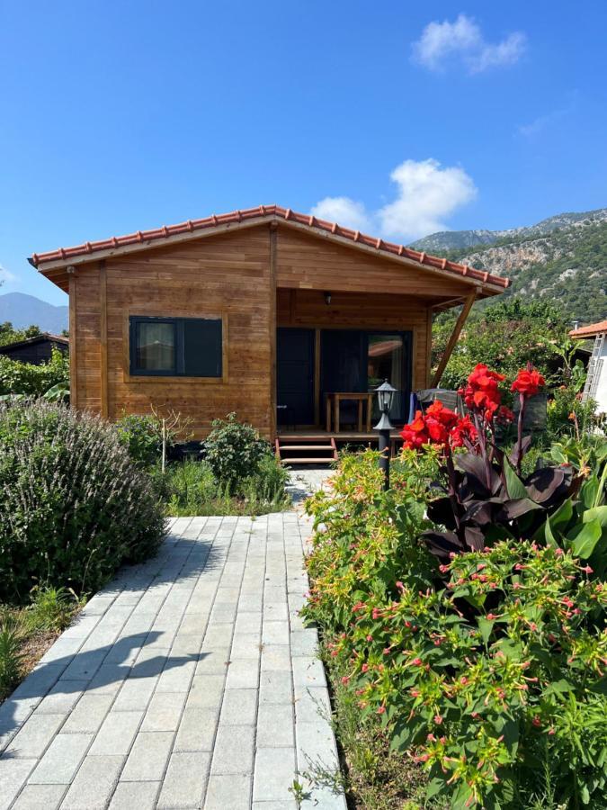 Lemon Garden Lodge Çıralı Kültér fotó