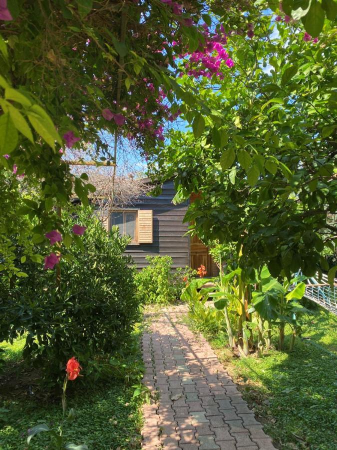 Lemon Garden Lodge Çıralı Kültér fotó
