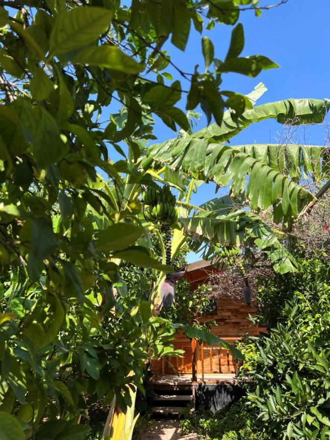 Lemon Garden Lodge Çıralı Kültér fotó