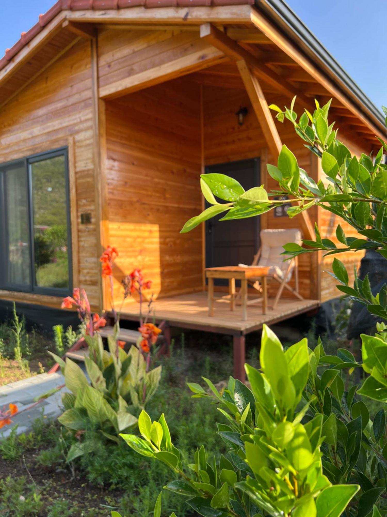Lemon Garden Lodge Çıralı Kültér fotó