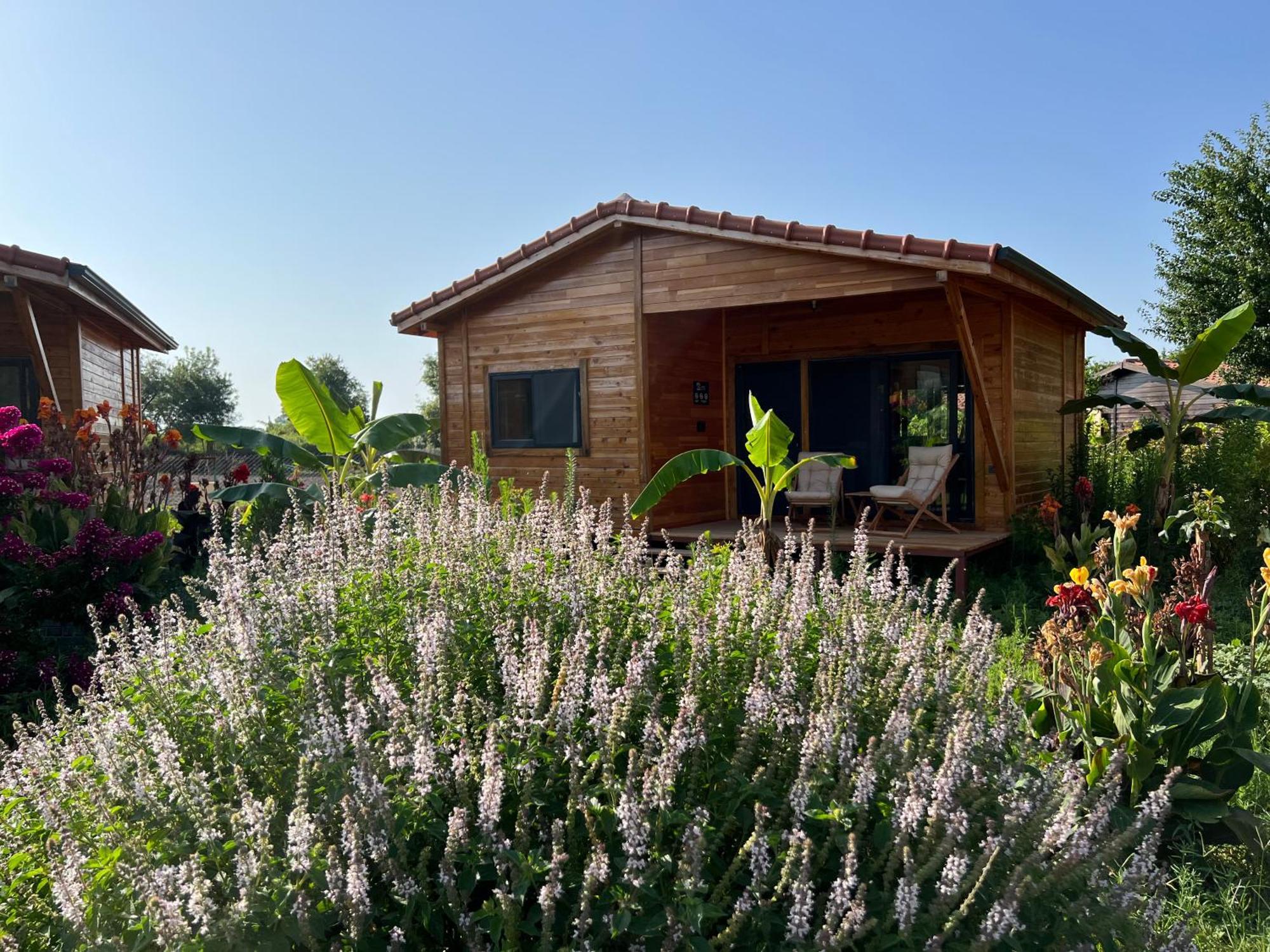 Lemon Garden Lodge Çıralı Kültér fotó