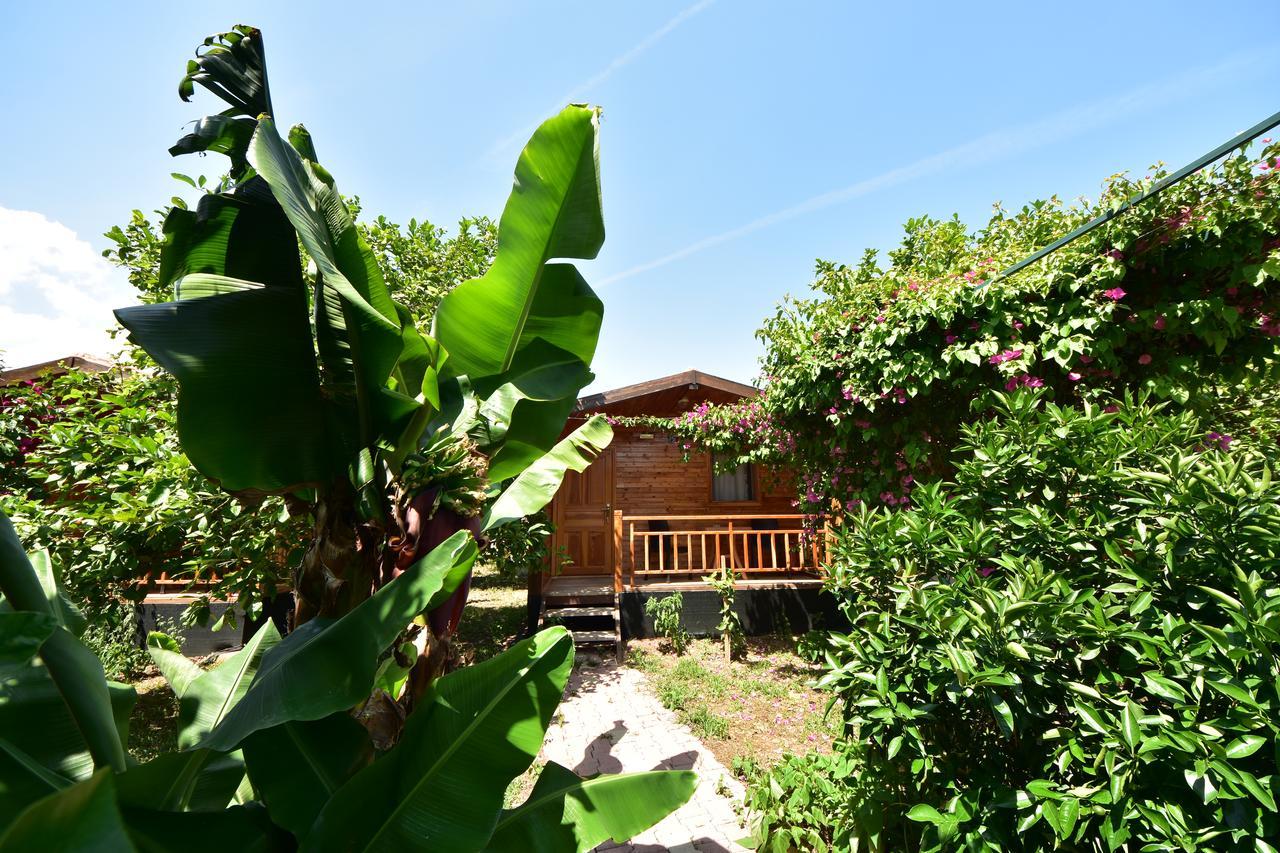 Lemon Garden Lodge Çıralı Kültér fotó