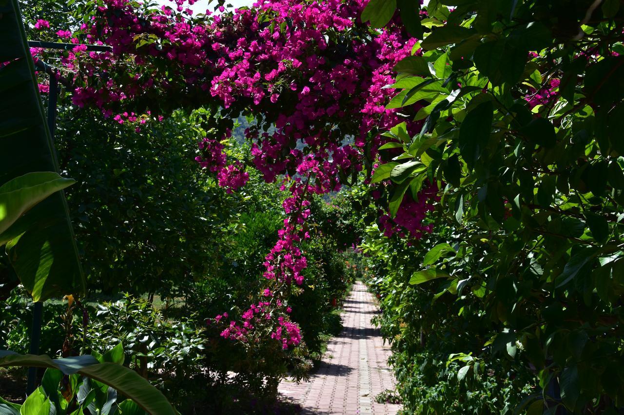 Lemon Garden Lodge Çıralı Kültér fotó