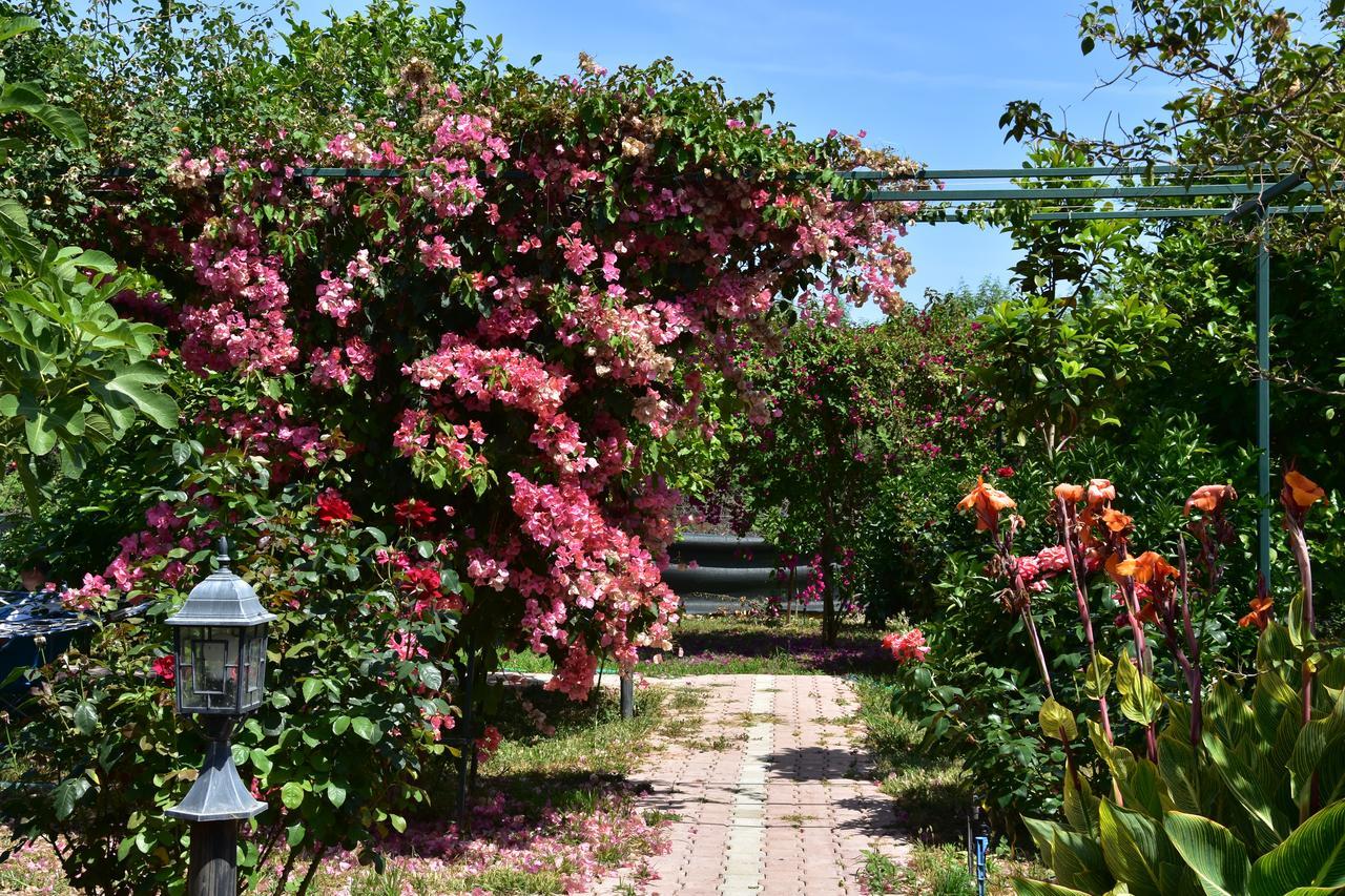 Lemon Garden Lodge Çıralı Kültér fotó